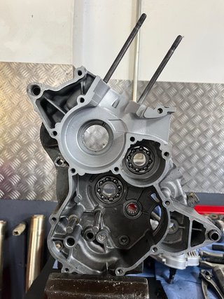 Rieju RR 50