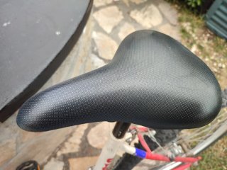 Bicicleta Montaña Florida P810
