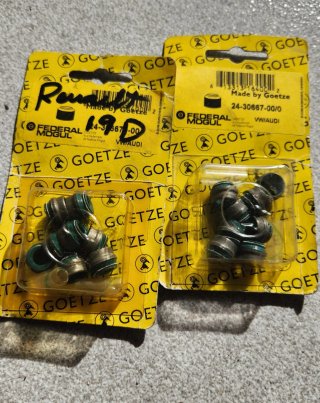 Retenes Guía Válvula Goetze VW/AUDI 24-30667-00/0