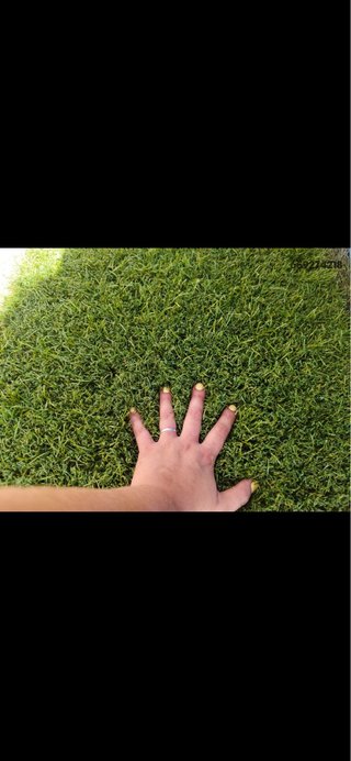 Cesped Artificial OASIS Reciclado