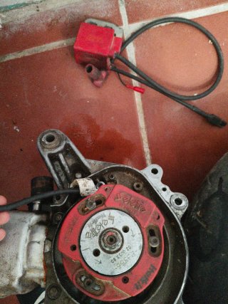 Rotor Selectra Piaggio