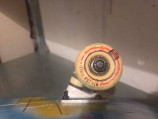 Skate con logo Life