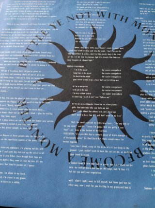 LP Julian Cope My Nation Underground