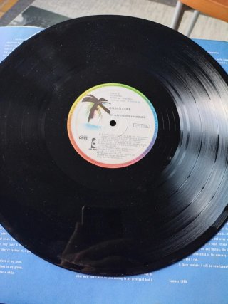 LP Julian Cope My Nation Underground