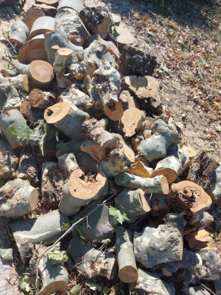 Leña para chimenea o barbacoa