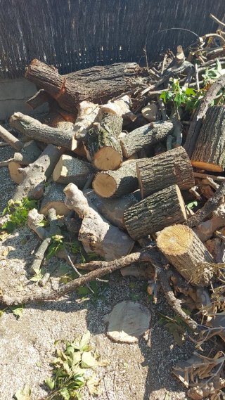Leña para chimenea o barbacoa