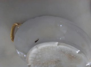 Juego de soperas antiguas porcelana