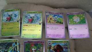 9 Cartas Pokémon TCG Japonesas