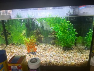 Acuario Aqua Led Pro 38L