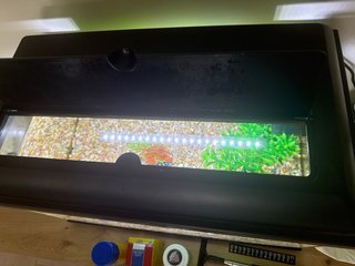 Acuario Aqua Led Pro 38L