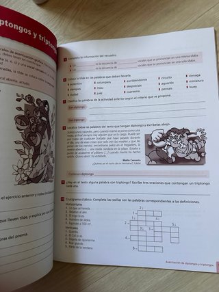 Lengua castellana y literatura, 2 ESO. Ortografía