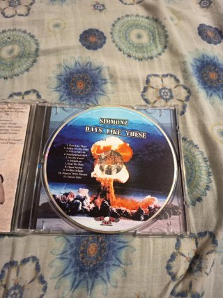 CD Simmonz - Days Like These  rare Immaculate Mary