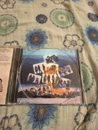 CD Simmonz - Days Like These  rare Immaculate Mary