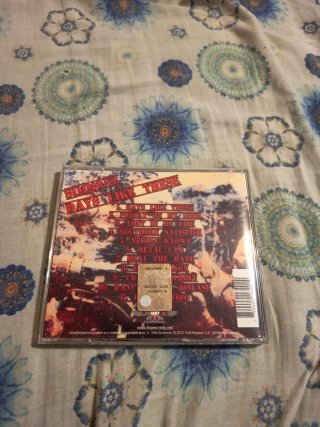 CD Simmonz - Days Like These  rare Immaculate Mary