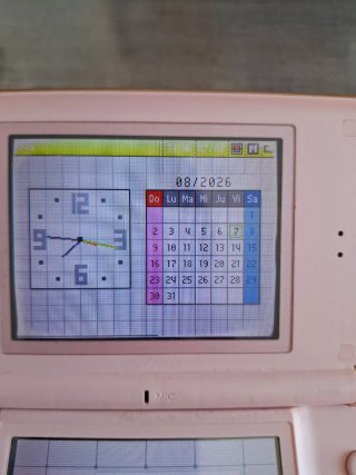 2 Nintendo DS Lite (Bianco e Rosa) - Pezzi