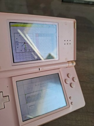 2 Nintendo DS Lite (Bianco e Rosa) - Pezzi