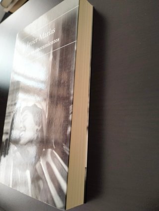 Libro "Los enamoramientos"
