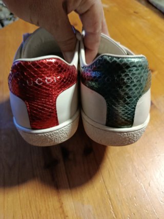 Zapatillas Gucci