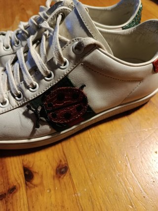Zapatillas Gucci