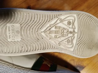 Zapatillas Gucci