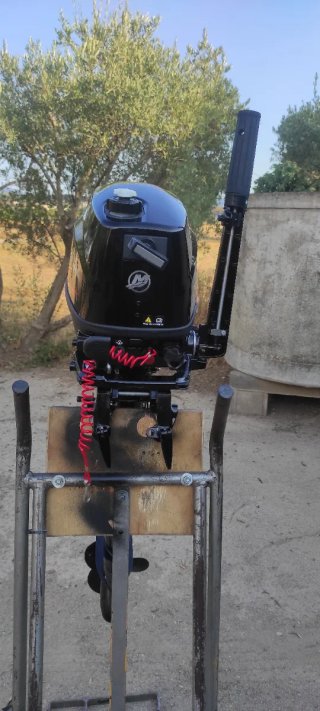 Cambio Motor fueraborda Mercury