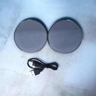 Altavoz Bluetooth Gris y Plateado