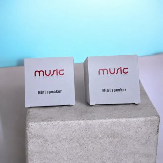 Altavoz Bluetooth Gris y Plateado