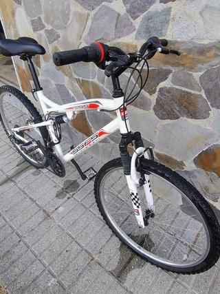 Bicicleta montaña (24'')