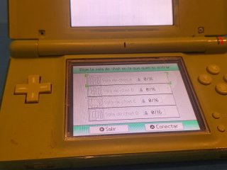 Nintendo DS Lite Verde