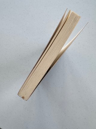 La segunda vida de Bree Tanner