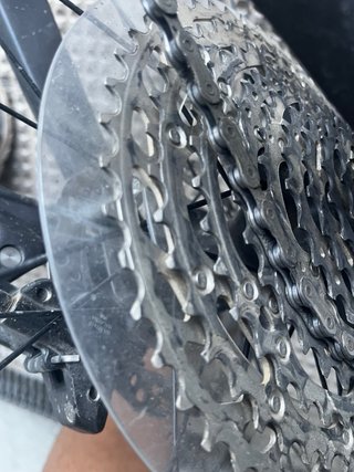 BH Lynx Race Carbono