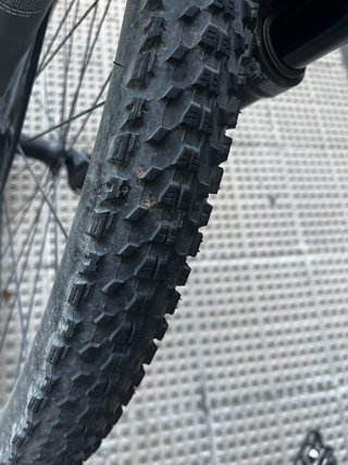 BH Lynx Race Carbono