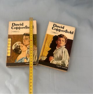 Novelas David Copperfield Tomo I y II