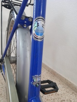 Bicicleta Paseo Holandesa 3 Marchas contrapedal