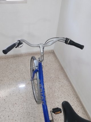 Bicicleta Paseo Holandesa 3 Marchas contrapedal