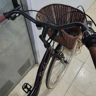 Bicicleta Paseo Holandesa 27 Unisex