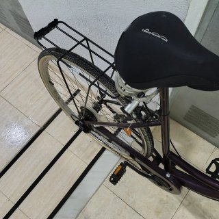 Bicicleta Paseo Holandesa 27 Unisex