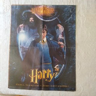 Póster Harry Potter y la Cámara Secreta