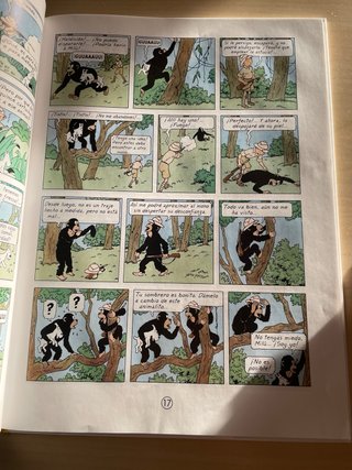 TINTIN EN EL CONGO (CARTON)
