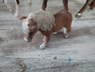 Lote Caballos y Hada Schleich