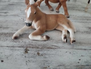 Lote Caballos y Hada Schleich