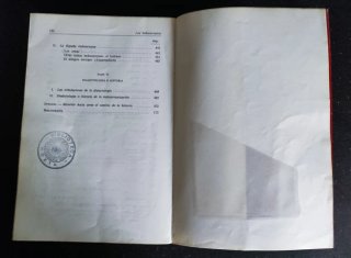 LOS INDOEUROPEOS Y LOS ORÍGENES DE EUROPA