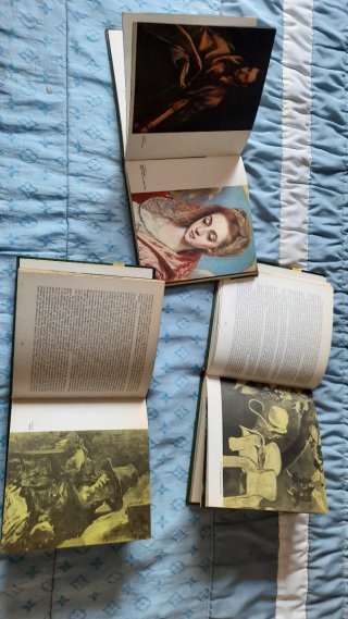 Lote de libros antiguos