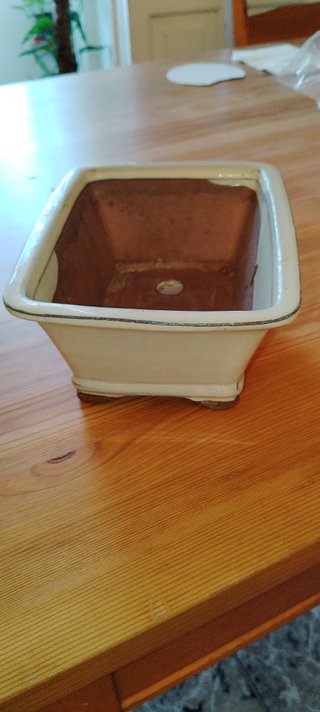 MACETA DE BONSAI