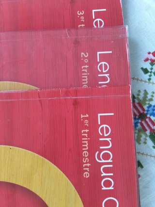 Lengua Castellana y Literatura, 4 Primaria, Moc...