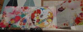CD Bosé Amo
