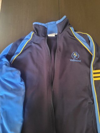 Chaqueta deportiva Vallmont azul y amarilla