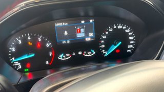 Ford FOCUS STLine 1.0T EcoBoost mHEV 92kW 125CV (2024)