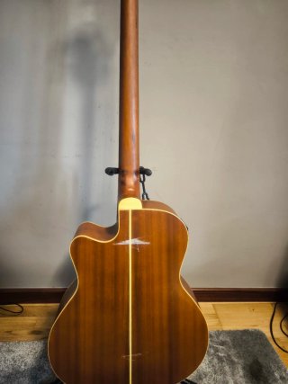 Bajo Acústico Fretless