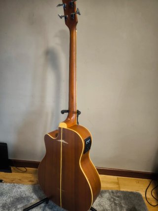 Bajo Acústico Fretless